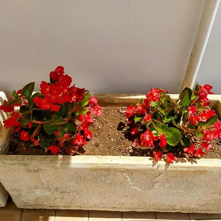 Casa vacanze Casa Paola Villino Piano Terra A 500 M Dal Mare Castro (Lecce)